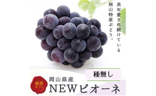 ＜2026年発送＞岡山県産　ニューピオーネ2房(1房480g以上) 化粧箱入り 【1546679】