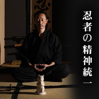 ふるさと納税 伊賀市 伊賀流忍法　癒しの術!猫忍者香炉【黒】 |  | 01