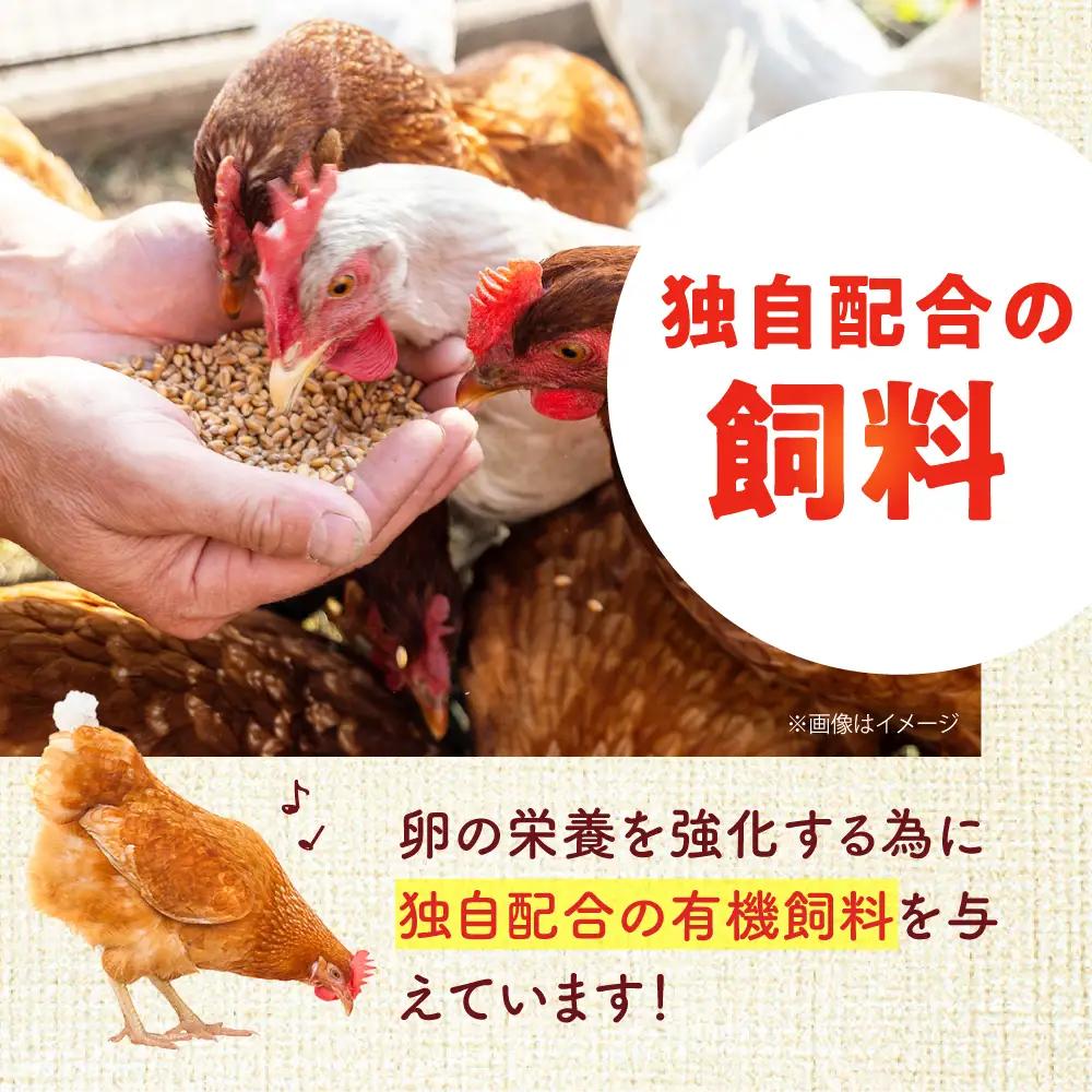卵 3種セット 各10個入り [AKHN006] 卵