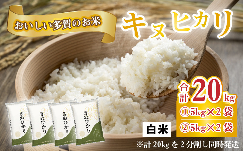 
            【令和6年産】キヌヒカリ（計20kg）おいしい多賀のお米 [C-00401]
          