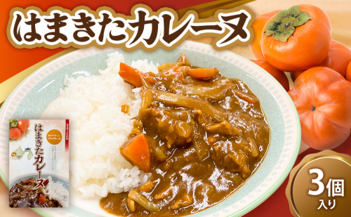 はまきたカレーヌ 3個入り 惣菜 カレー パウチ レトルトカレー 簡易包装 温めるだけ 簡単調理 時短 レンジ 湯煎 常温保存 非常食 女性部カレー 浜北産次郎柿 静岡 浜松市