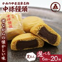 【ふるさと納税】選べる内容量 中條饅頭 黒あん（6個／8個／10個／20個）お菓子 おやつ デザート スイーツ 和菓子 まんじゅう こしあん お取り寄せグルメ 送料無料 和菓子 半田陸 山形県 上山市 0133-2301～2401