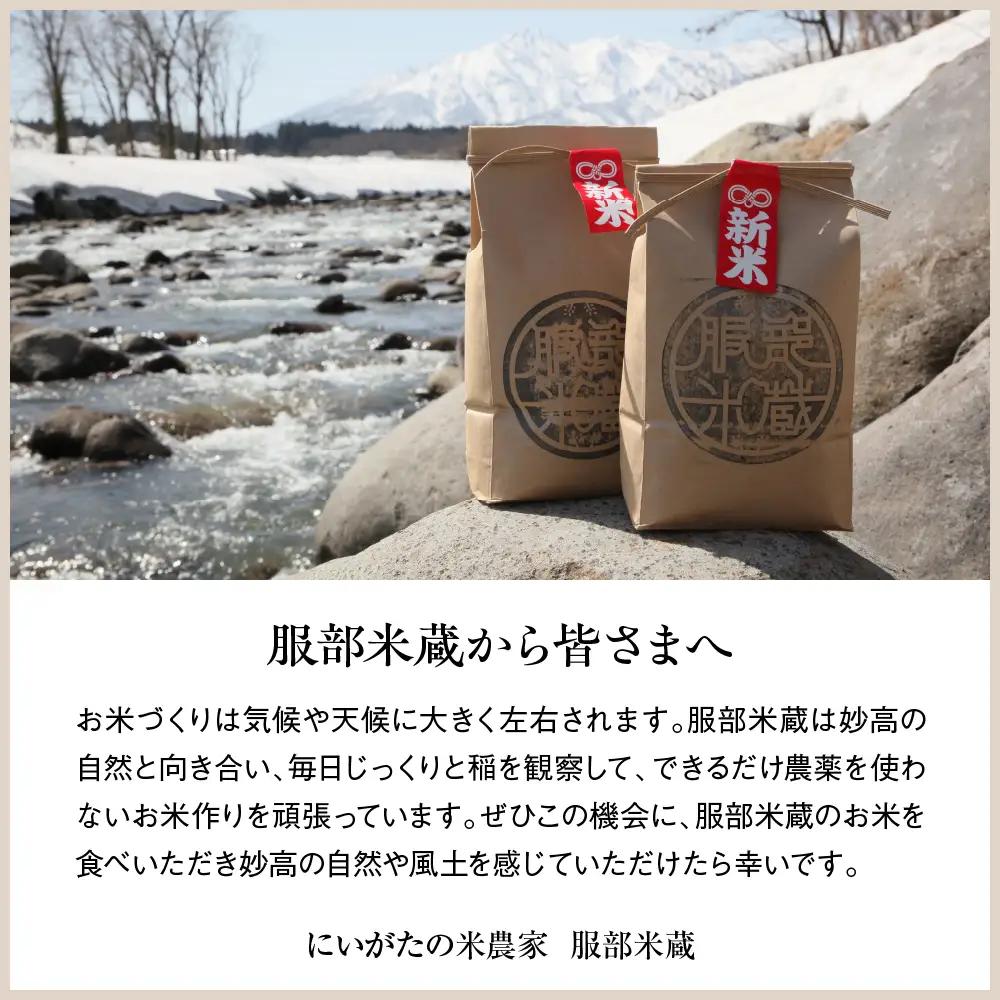 先行予約【令和8年産】【定期便】服部米蔵の妙高矢代産コシヒカリ 10kg×6回 計60kg