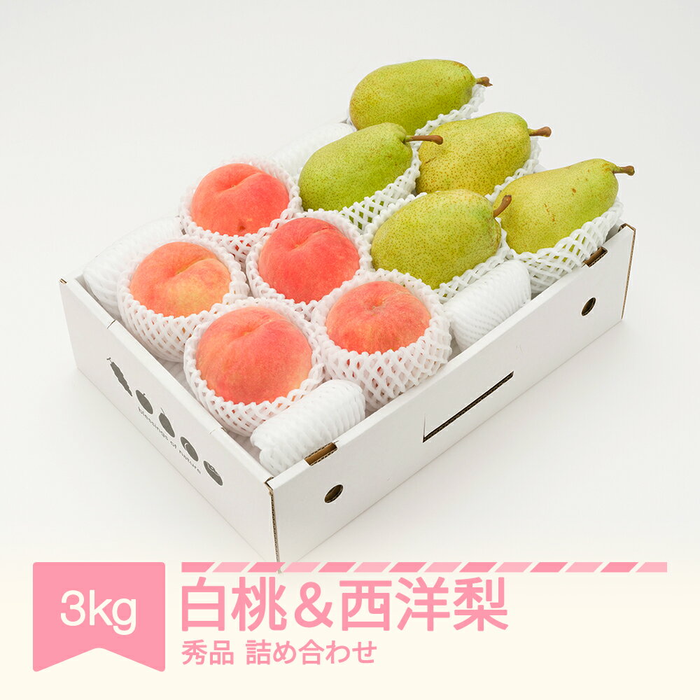 【ふるさと納税】【先行予約】 白桃 秀品 & 西洋梨 詰め合わせ 3kg 令和8年産 2026年産 果物 桃 梨 送料無料 ns-fshyx3※沖縄・離島への配送不可