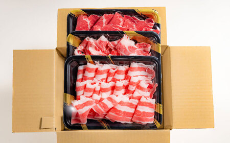 新感覚!極薄スライス「花びら馬刺し」3種盛り300g(専用醤油付き) / 馬刺し 菊陽町 熊本県 醤油 専用 ばさし 馬肉 肉 niku おつまみ 九州 冷凍【有限会社 桜屋】[BHDB004]