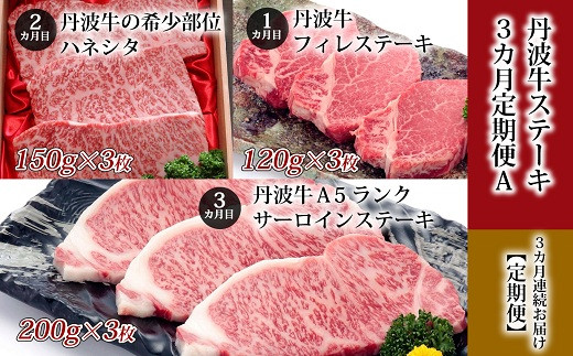 
【３回定期便】丹波牛ステーキ3カ月定期便Ａ　【 丹波牛定期便 食べ比べ定期便 牛肉定期便 ステーキ ブロック 肉 A5 ランク 牛 冷凍 定期便 京都 京丹波町 】 　[120IZ001R]
