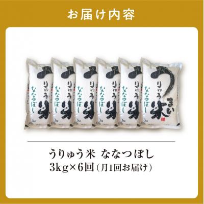 ふるさと納税 雨竜町 【定期便全6回】 うりゅう米 ななつぼし 3kg(3kg×1袋)毎月1回お届け 米 雨竜町 |  | 03
