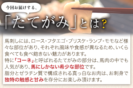 馬刺し 上赤身 ブロック 国産 熊本肥育 冷凍 生食用 たれ付き(100g×2)＋たてがみセット(50g×1) 《90日以内に出荷予定(土日祝除く)》肉  絶品 牛肉よりヘルシー 馬肉 予約 平成27