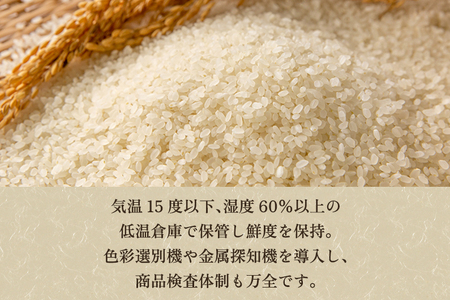 【令和8年産新米先行予約】【定期便6ヶ月毎月お届け】新潟県加茂市産コシヒカリ 精米25kg（5kg×5）《10月上旬～順次出荷》 白米 （株）ライスグローワーズ