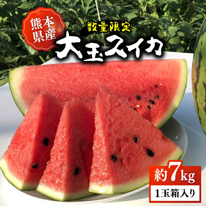【ふるさと納税】【先行予約】【初夏に実った贈り物】大玉 スイカ 約7kg【なかむら農園】[ZBH001]