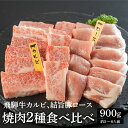 【ふるさと納税】飛騨牛 焼肉用 カルビ 結旨豚 ロース 焼肉用 各450g 計900g 食べ比べ セット ゆいうまぶた ブランド豚 A4 A5 等級 飛騨牛 国産牛 牛肉 国産豚 豚肉 白川郷 てんから 焼き肉 BBQ 簡易梱包 訳あり 訳アリ 冷蔵 25000円 S432