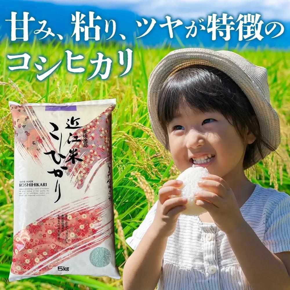 【令和8年産 新米 先行予約】【定期便】近江米コシヒカリ 10kgx12回定期便（精米）※2026年9月～発送