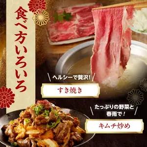 【牛肉】 船小屋牛 肩スライス 【500g】《筑後》【冷凍】 176-008