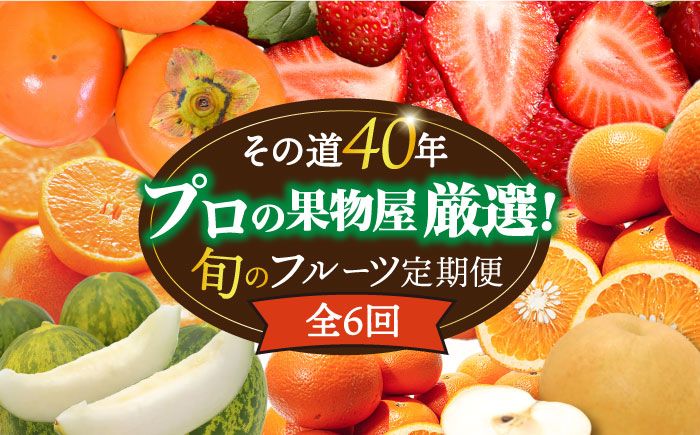 【6回定期便 奇数月コース】フルーツ定期便 旬のフルーツをセット/ いちご メロン ハウスみかん 梨 柿 など  / 旬 フルーツ 果物 春フルーツ 夏フルーツ 秋フルーツ 冬フルーツ / 南島原市 / 贅沢宝庫 [SDZ021]