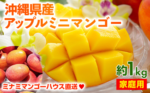 【2025年発送】ミナミマンゴーハウスのアップル ミニマンゴー約1kg【家庭用】- ご家庭用 沖縄県産 産地直送 南国フルーツ 旬の味覚 アップルマンゴー ご自宅用 オススメ 沖縄県 八重瀬町