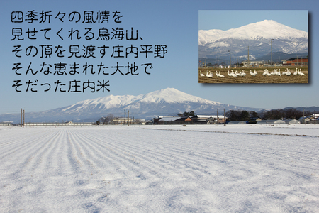 SZ0313　令和7年産【精米】 はえぬき 2kg (2kg×1袋) SI