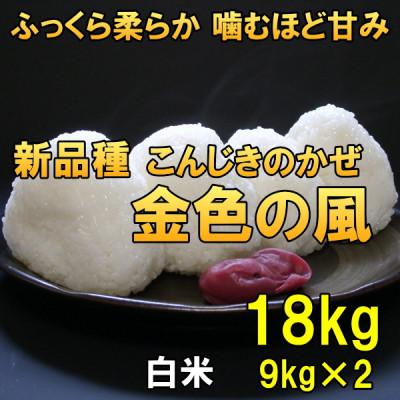 ふるさと納税 奥州市  金色の風(こんじきのかぜ)白米 18kg(9kg×2) 令和7年産米 18キロ[AC033]