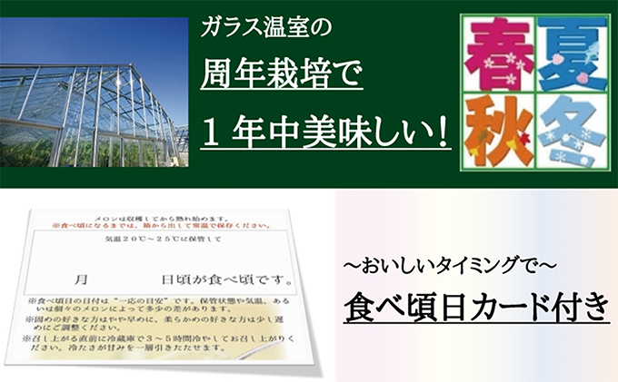 クラウンメロン　山クラス　３玉入　【配送不可：離島】