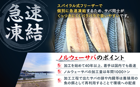 【定期便 毎月3回】 塩サバフィレ 計:9kg ※1回あたり3kg 冷凍 鯖 塩 さば 魚 塩さば さかな 海産物 おかず 鯖ご飯 魚介 海鮮 惣菜 塩サバ 塩鯖 焼き鯖 サバ 焼きさば 焼さば 南知