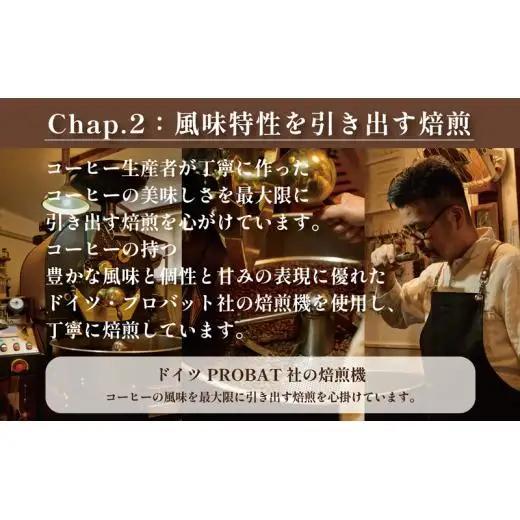 COFFEA EXLIBRIS  スペシャルティコーヒー 150ｇ×3種セット【コーヒー粉】