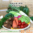 【ふるさと納税】自然栽培『身体が喜ぶ野菜』詰め合わせ(おまかせ)潮来はぐくみのもり【配送不可地域：離島】【1056424】