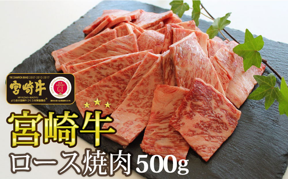【宮崎牛】 ロース 焼肉 500g 黒毛和牛 A4 A5等級 [マルミヤストア 宮崎県 美郷町 31ag0096] 牛 牛肉 国産 宮崎県産 和牛 霜降り BBQ バーベキュー キャンプ