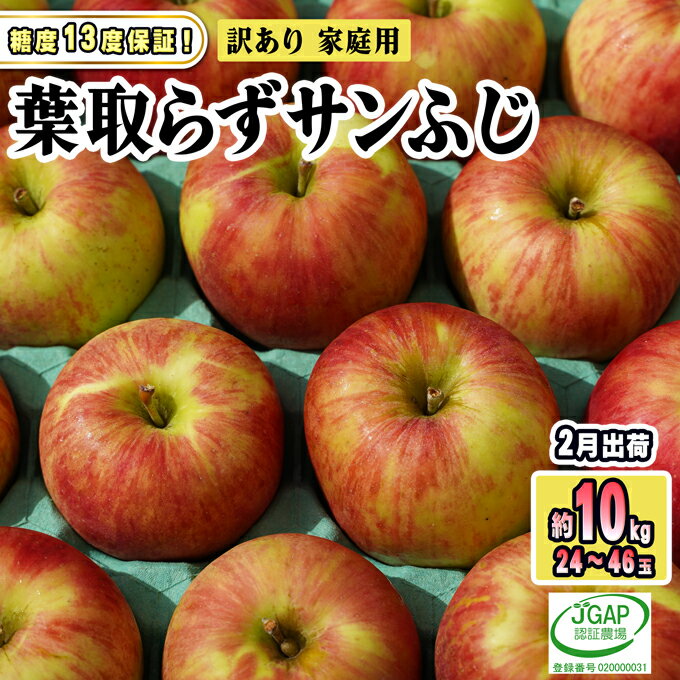 【ふるさと納税】2月発送【糖度保証】家庭用 葉取らず サンふじ 約10kg【訳あり】【鶴翔りんごGAP部会 青森県産 津軽産 リンゴ 林檎】 果物 希少 完熟 JGAP認証 安心 丸かじり 甘い 高糖度 　お届け：2027年2月1日～2027年2月28日