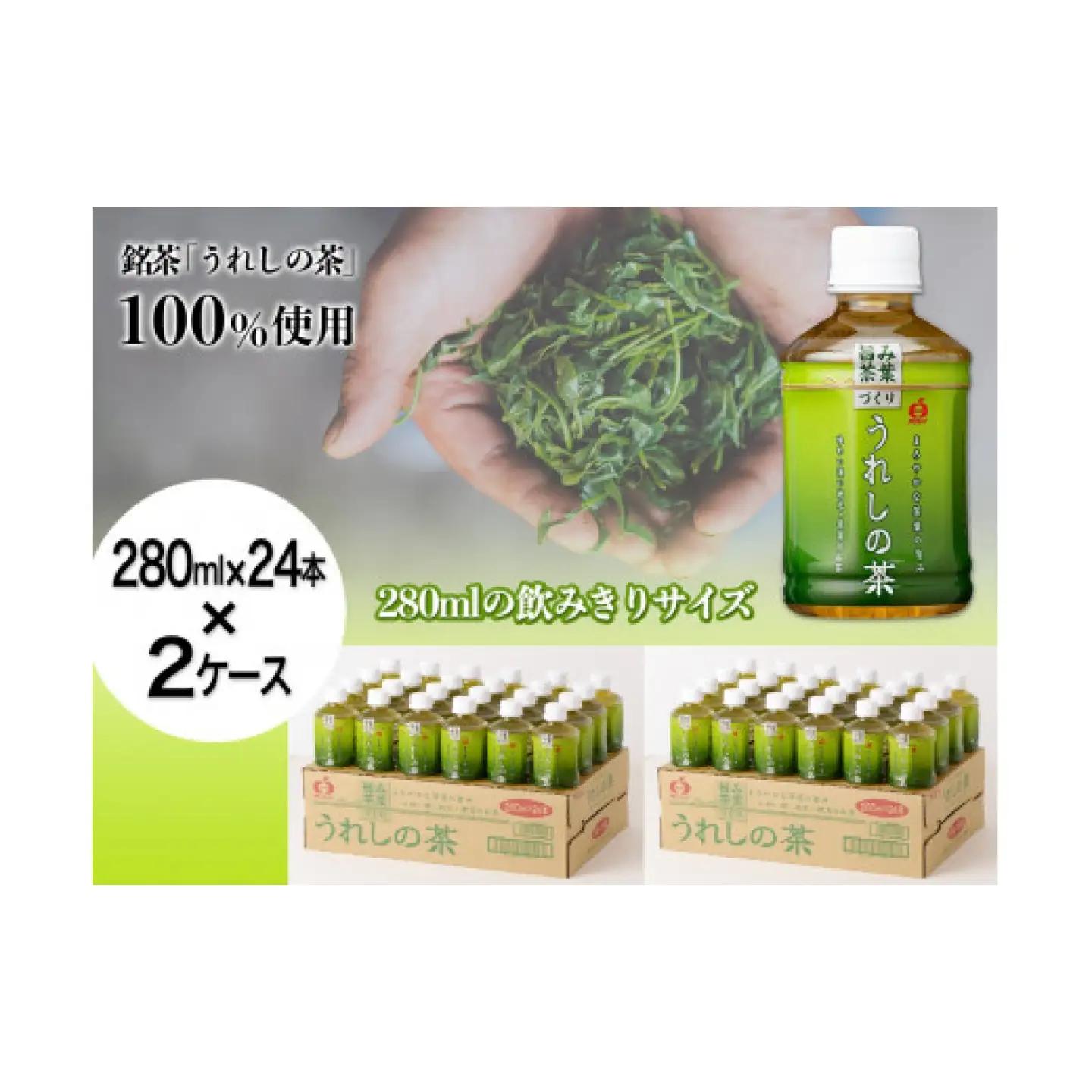 うれしの茶 280ml×24本入×2ケース / お茶 緑茶 嬉野茶 ペットボトル / 佐賀県 / さが風土館季楽[41AABE107]