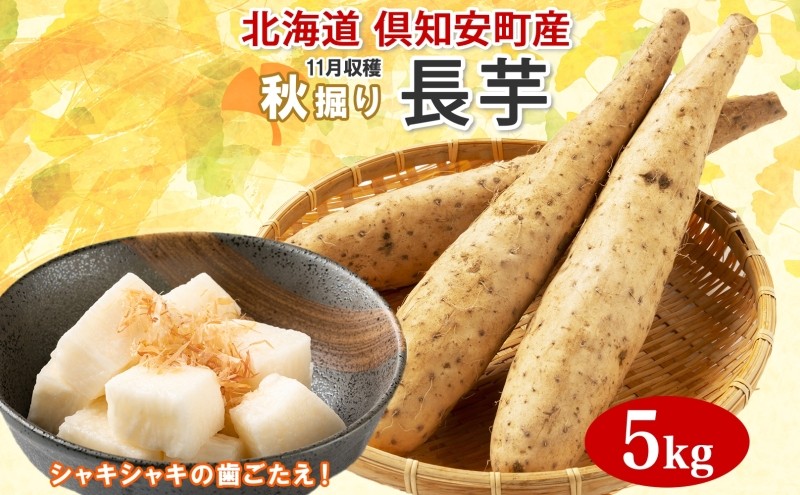 
北海道 倶知安町産 長芋 2L×約6本 計5kg 秋堀り 芋 ながいも とろろ 新鮮 フレッシュ 野菜 農作物 産直 山芋 麦とろ 山かけ おつまみ グリーンアースファーム 送料無料 北海道 倶知安町
