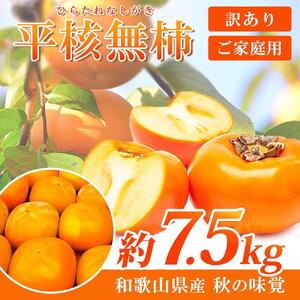 ［ご家庭用］平核無柿（ひらたねなしがき）約７.５kg 和歌山秋の味覚［2026年発送］［UT32］