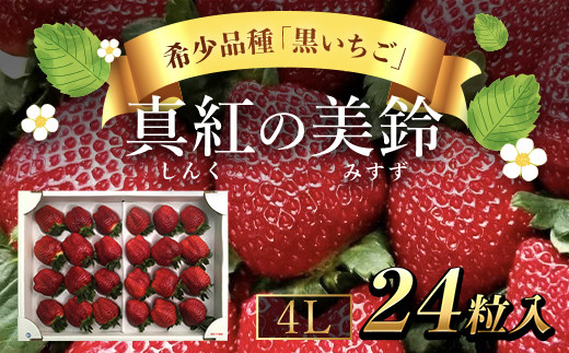 【先行予約/2024年12月配送開始】希少品種 黒いちご 真紅の美鈴 4L24粒入り SMAN003