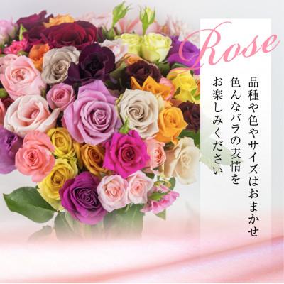 ふるさと納税 田原市 バラの花束　訳ありチャーミングローズ50本 |  | 01