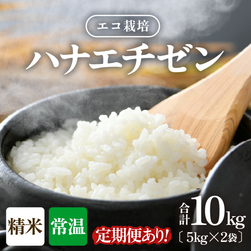 【ふるさと納税】【先行予約】【令和8年産 新米】 エコ栽培ハナエチゼン 精米 10kg （5kg×2袋）【選べる回数：1回 / 3回 / 6回 / 12回 】 ／ 米 お米 10キロ 定期便 鮮度抜群 福井県産 はなえちぜん ご飯 新鮮 玄米 ※2026年9月上旬以降順次発送予定