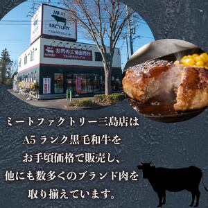 ハンバーグ 160g×24個 A5ランク 黒毛和牛 手ごねハンバーグ 冷凍 国産