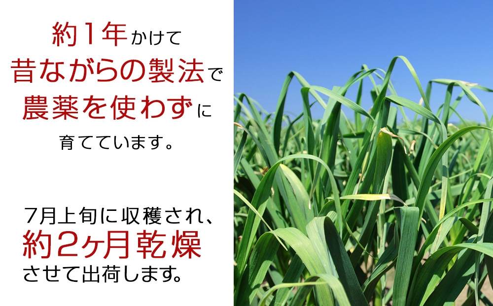 無農薬ニンニク 1kg（500g×2袋）