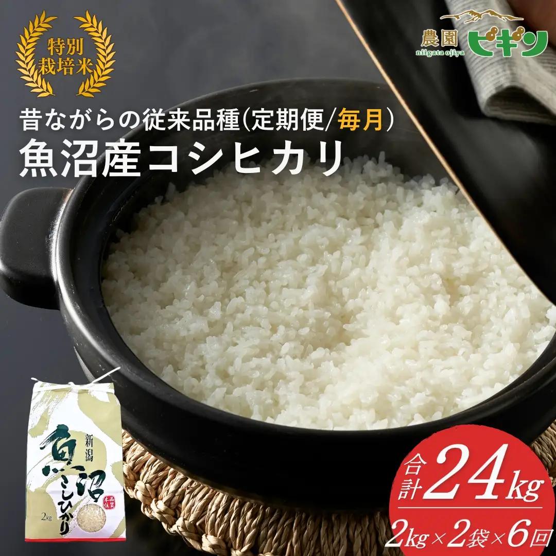【令和8年産 先行予約】 昔ながらの魚沼産コシヒカリ 従来品種 定期便 24kg（2キロ2袋×毎月全6回）農園ビギン | おこめ 特A評価 小千谷市 コシヒカリ