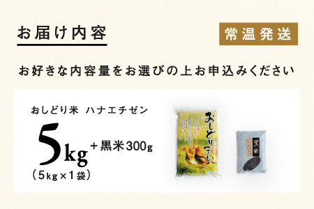 【令和5年産】福井県産 おしどり米 華越前 5kg