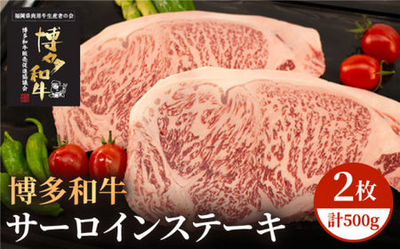 博多和牛 牛肉 A5 A4 サーロイン ステーキ 2枚（計500g）＜株式会社チクゼンヤ＞那珂川市 サーロインステーキ肉 サーロインステーキ肉 サーロインステーキ肉 和牛 サーロインステーキ肉 [GCF004] 27000 27000円