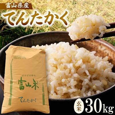 ふるさと納税 小矢部市 令和8年産「てんたかく」玄米30kg×1袋
