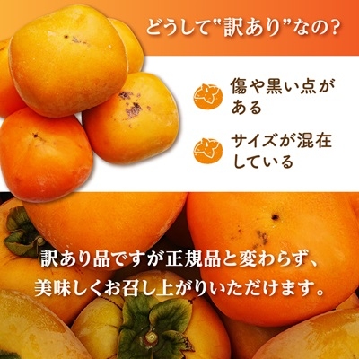 近年の温暖化、猛暑などの影響で、表面のキズ、変色、日焼け、凹凸、不揃いなどが見受けられますが、おいしく召し上がっていただけます。