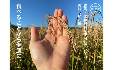 【お米番付優秀賞受賞農家】日本一粒の大きいお米『いのちの壱』玄米5kg