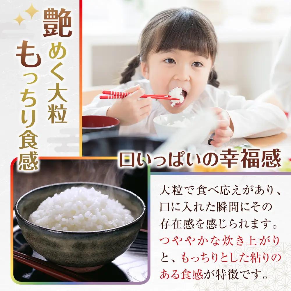 ［お米の定期便／全12回］和歌山県産 米 にじのきらめき計60kg (5kg×全12回) 2025年産［SL55］