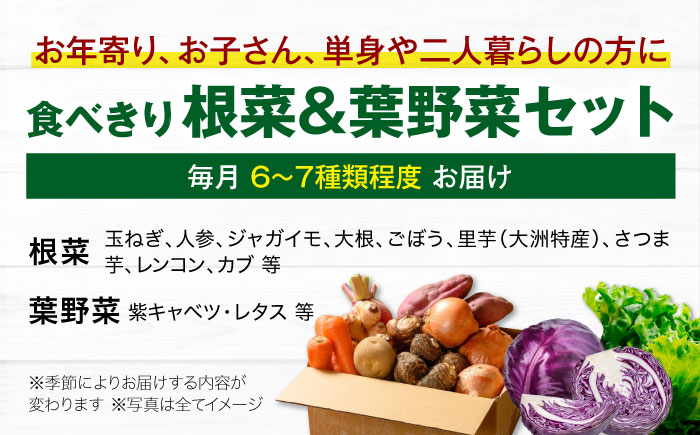 【全6回定期便】 【シェフの目線】　根菜×葉野菜 6から7種　単身・二人暮らし用セット　愛媛県大洲市/有限会社ヒロファミリーフーズ 野菜 果物 やさい 少量セット 食べきり [AGBX053]