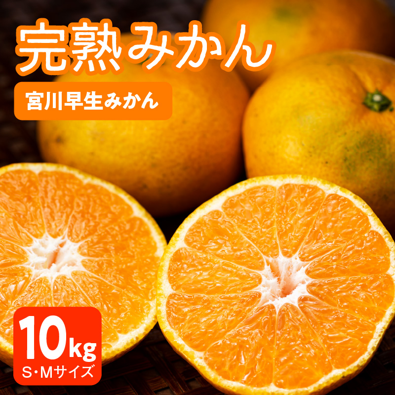 早生みかん及び普通みかん 10kg N0132-YB095