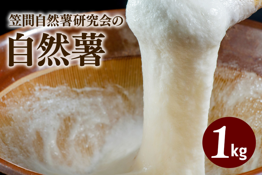 笠間自然薯研究会の自然薯 約1㎏ 長芋 とろろ とろろご飯 野菜 ねばねば 健康食品 美容効果 笠間市産 茨木県産 栄養たっぷり ギフトに最適 新鮮 国内生産 高級根菜 美容と健康に 美味しい 有機栽培 オーガニック 産地直送 滋養強壮