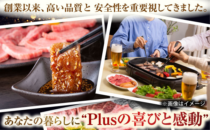 【全6回定期便】【訳あり】【A4〜A5】長崎和牛焼肉切り落とし(肩ロース・バラ）　500g【株式会社 MEAT PLUS】 [QBS040]