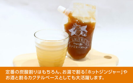 クラフトジンジャエールの素 約200ｇ×3パック / ジンジャーエール 素 シロップ ジンジャーシロップ 炭酸 炭酸割り ソーダ お湯割り ホットジンジャー アレンジ【Japan Ginger 株式会