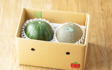 熊本県産 小玉すいか ＆ 肥後グリーンメロン 各1玉 果物 フルーツ セット ギフト 贈答品 贈り物 【2025年5月下旬～6月上旬発送予定】