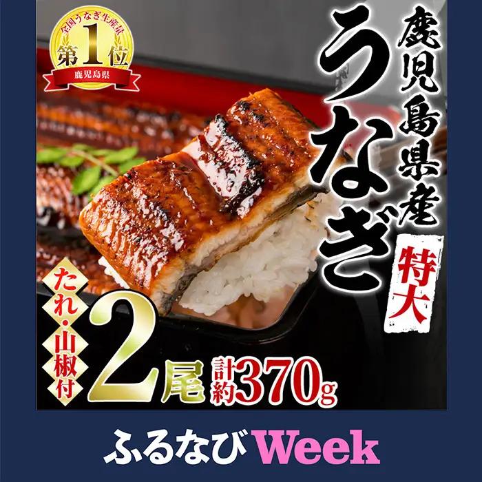 ＜特大＞うなぎ蒲焼き(無頭)(2尾・計約370g・タレ、山椒付)うなぎ 高級 ウナギ 鰻 国産 蒲焼 蒲焼き たれ 鹿児島 ふるさと 人気【アクアおおすみ】【0134354a】