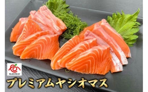 【定期便12回】産地直送栃木県のブランド魚「プレミアムヤシオマス」の刺身 800g (200g×4パック)  [ 冷凍便 ] | 魚 ます 養殖 産地直送 栃木県 (毎月お届け）